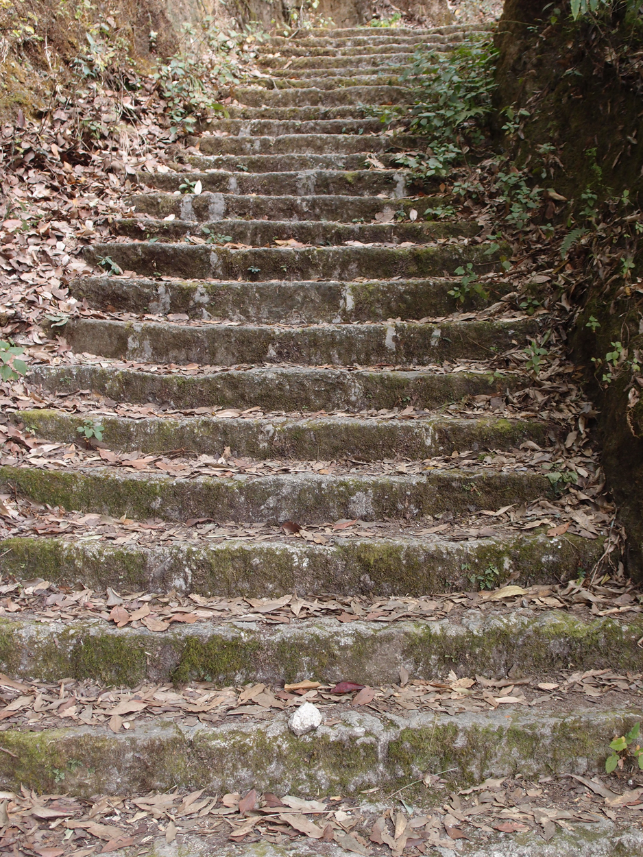 2018-01-16 12 Uhr - Im Shivapuri Nagarjun National Park (Nagi Gumba) (Foto) 